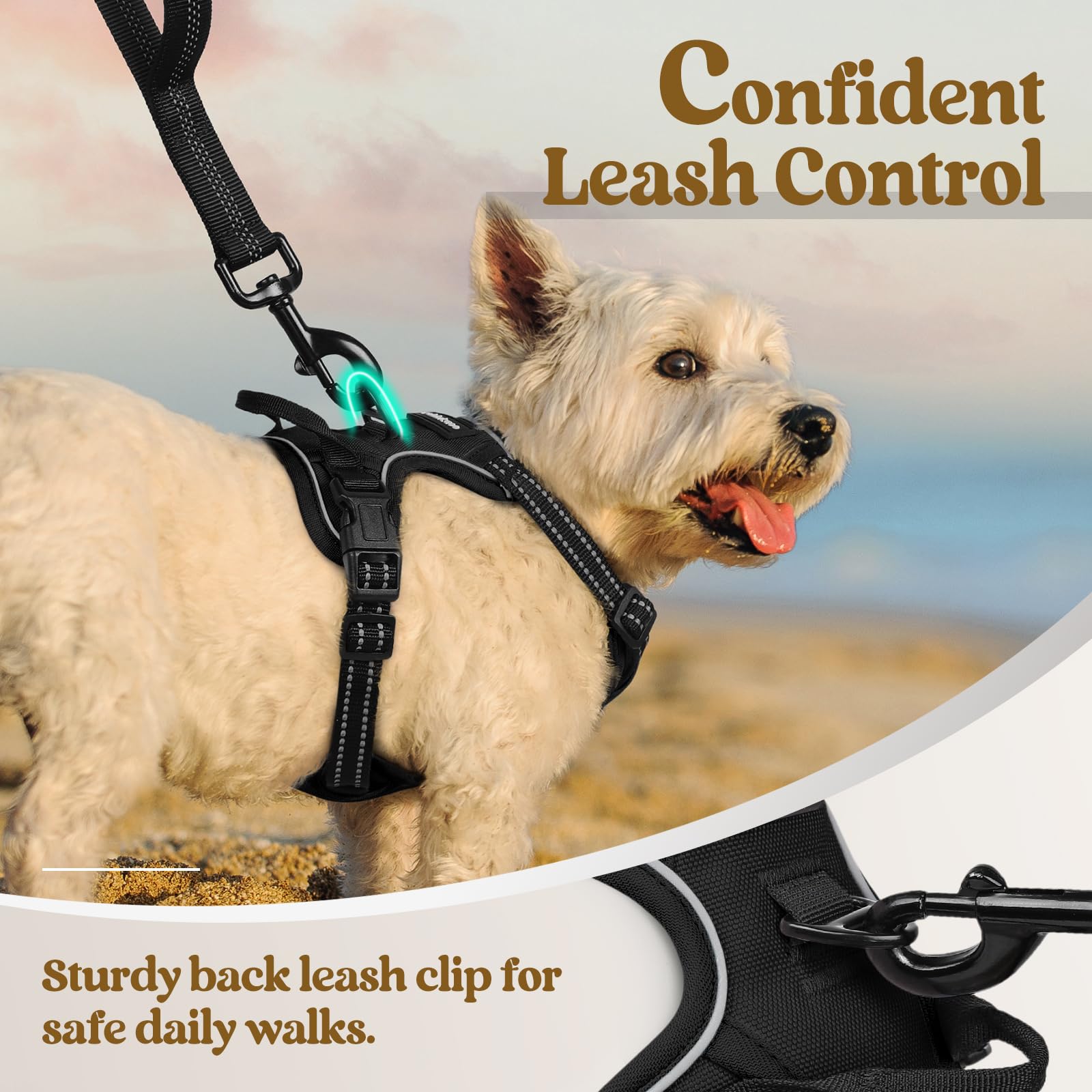 rabbitgoo breathable air-mesh keeps dogs cool in warm weather