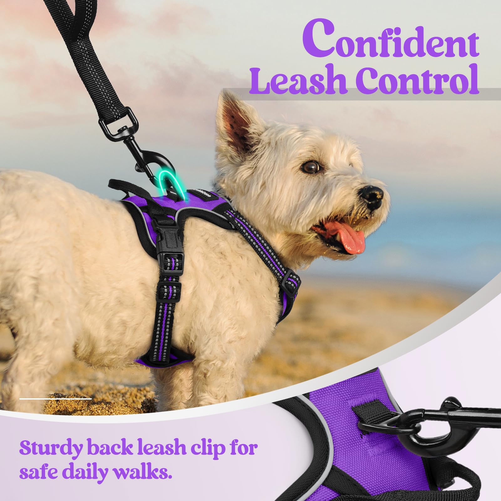 Rabbitgoo breathable air mesh keeps dogs cool during outdoor activities.