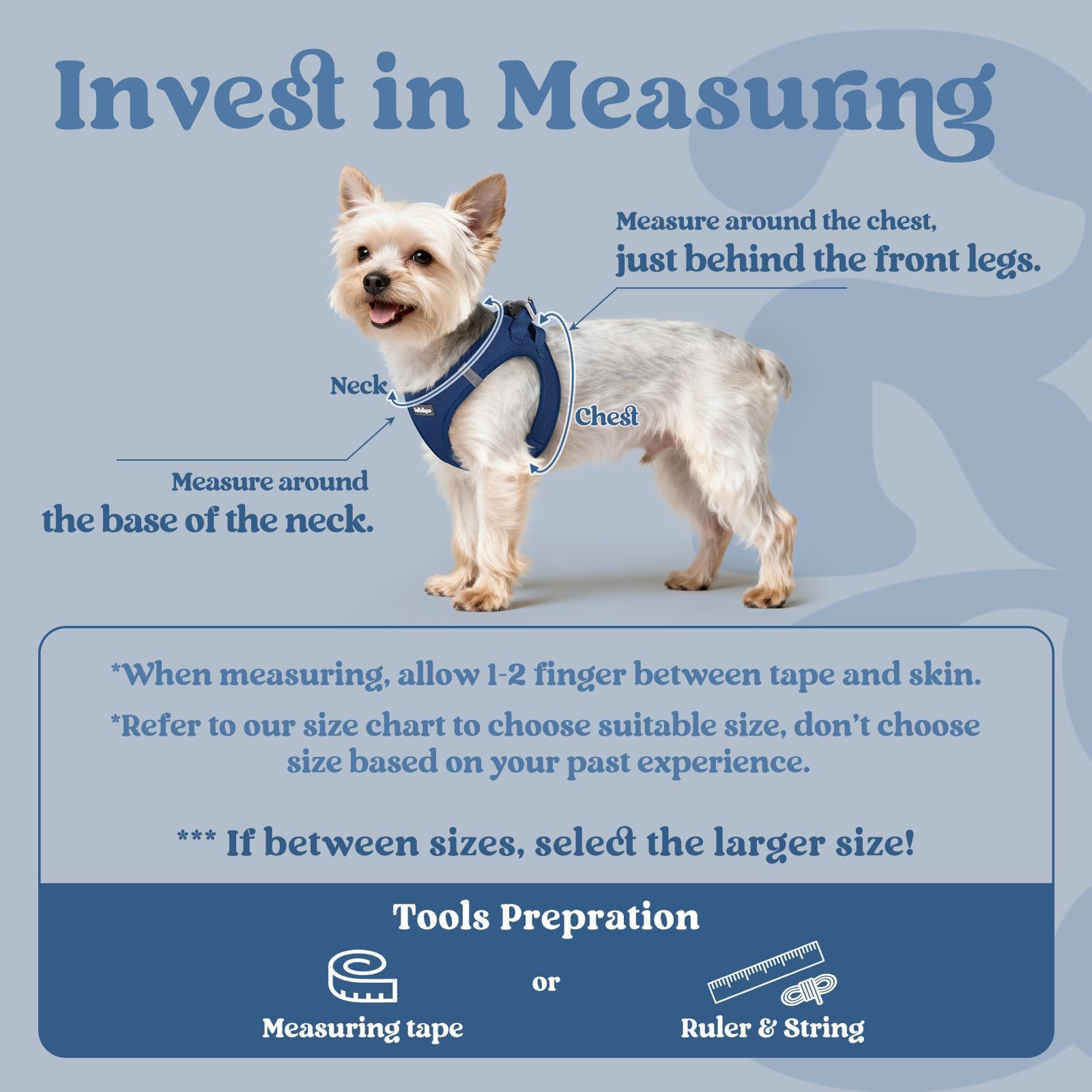 Rabbitgoo breathable air mesh harness keeps tiny dogs cool outdoors