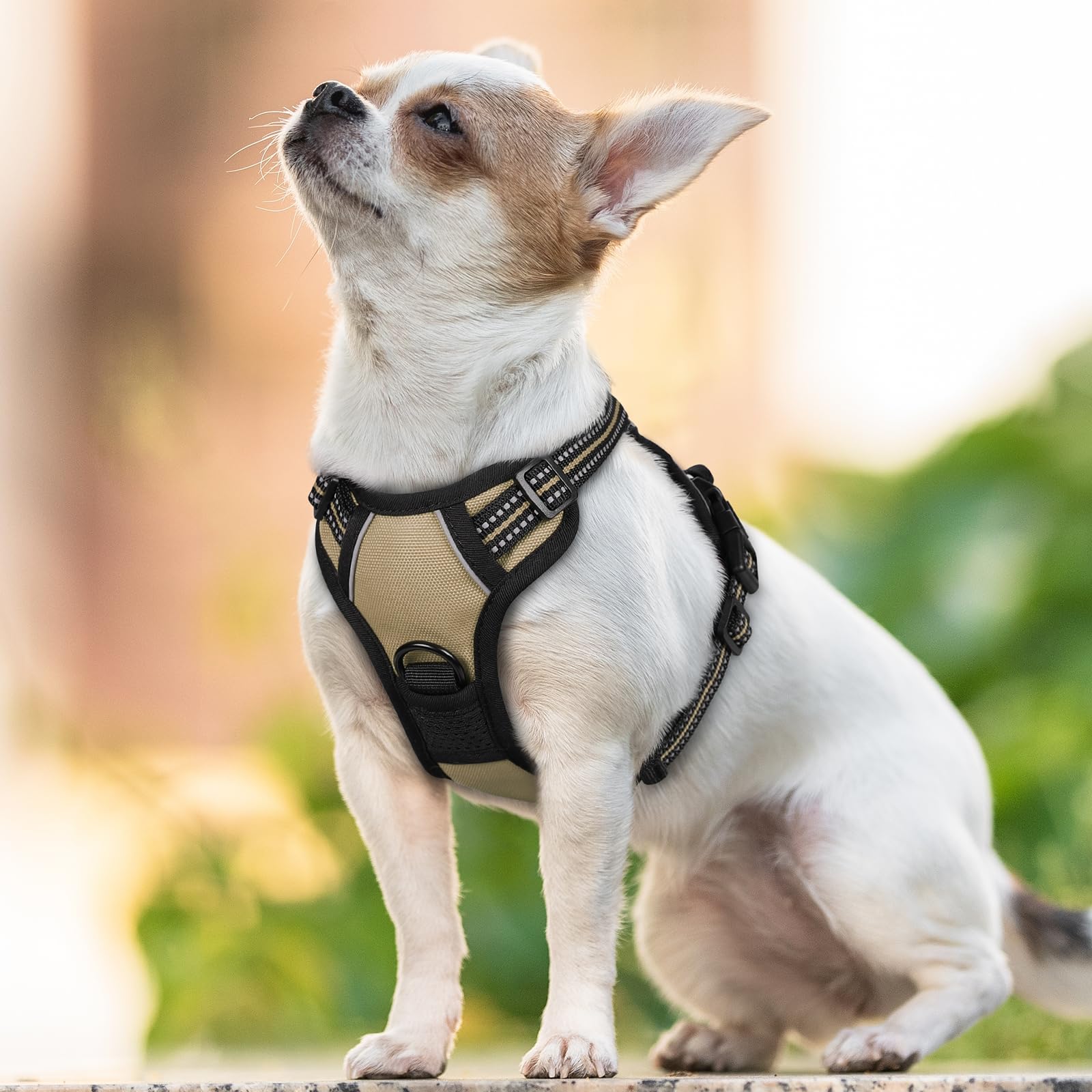 Rabbitgoo breathable air mesh keeps your dog cool outdoors.