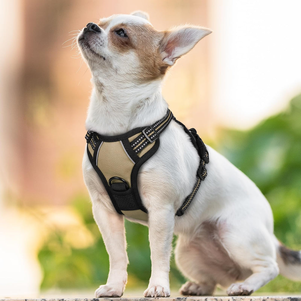 Rabbitgoo breathable air mesh keeps your dog cool outdoors.
