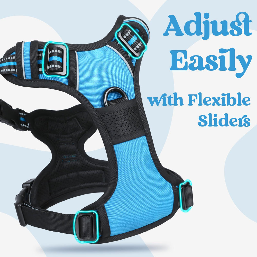 Rabbitgoo breathable air mesh keeps dogs cool while wearing the vest