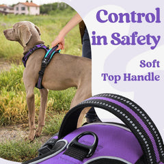 Rabbitgoo breathable air mesh padding keeps dogs cool and comfy.