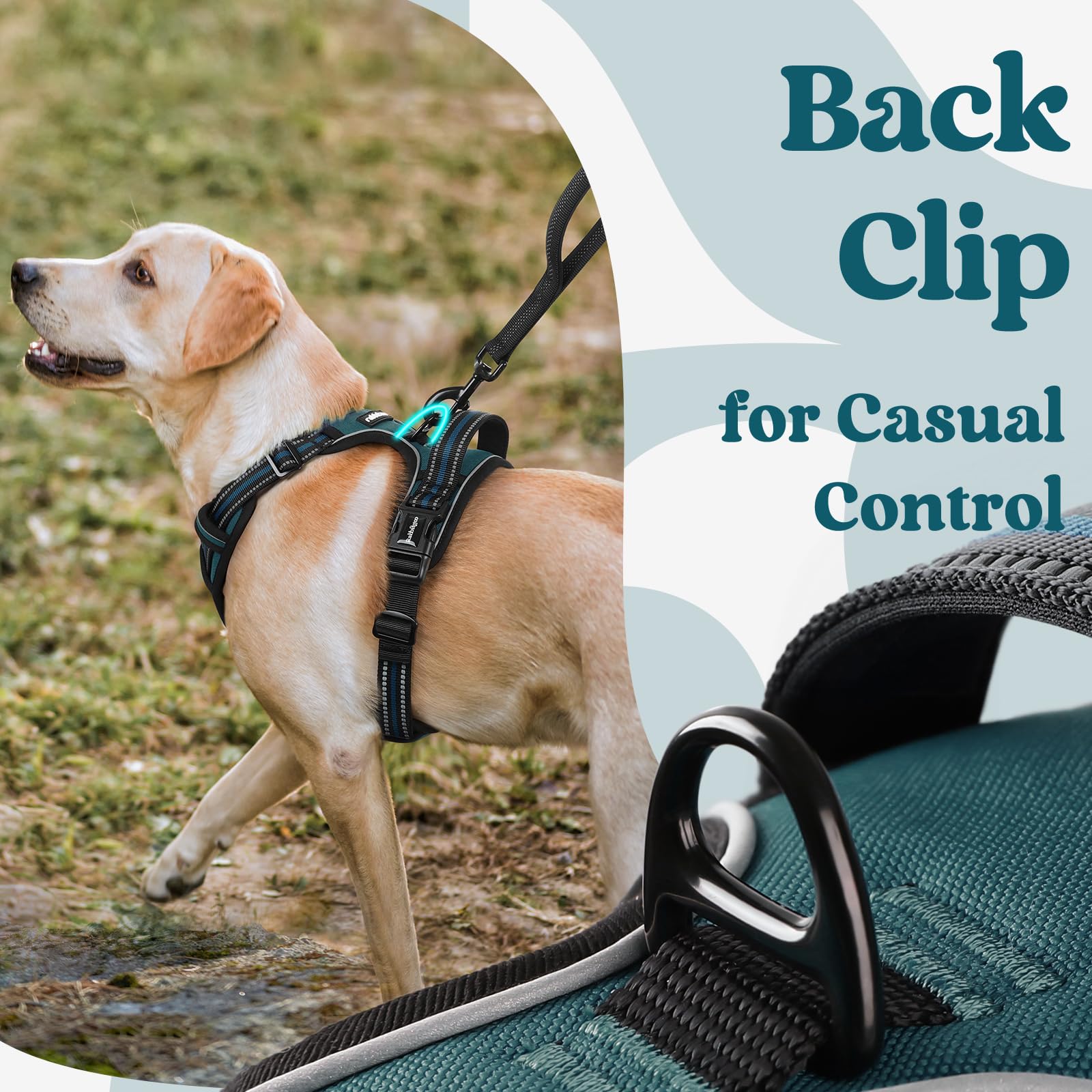 Rabbitgoo breathable air mesh keeps dogs cool on long walks.