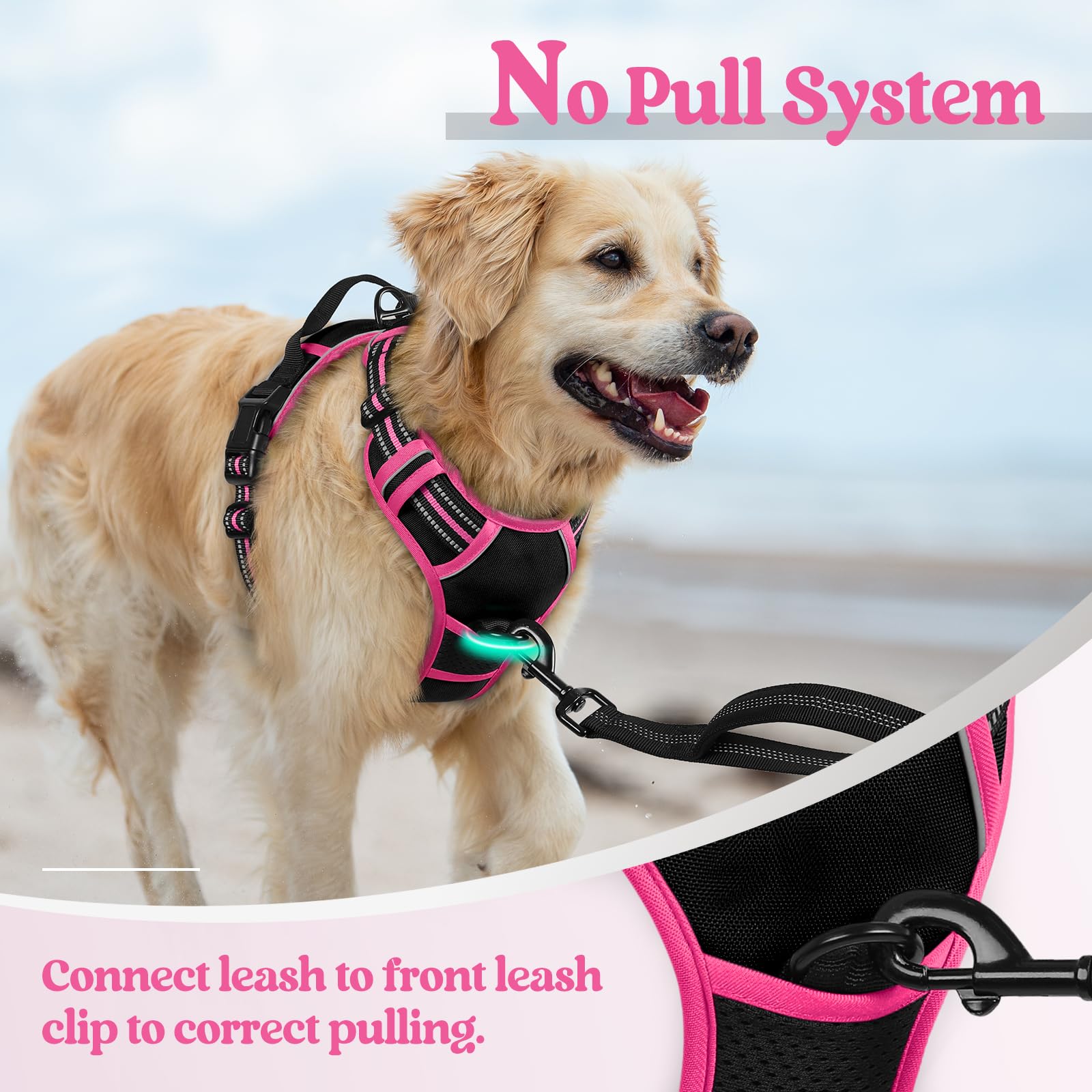 Rabbitgoo breathable air mesh keeps dog cool during activity