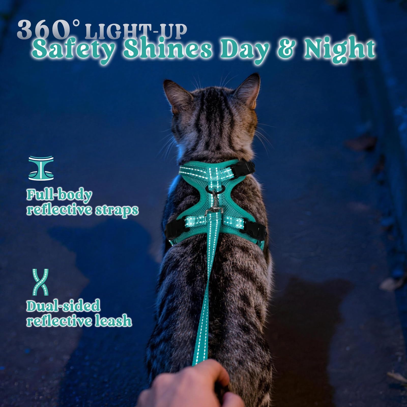 Rabbitgoo breathable air mesh keeps cats cool during longer outings.