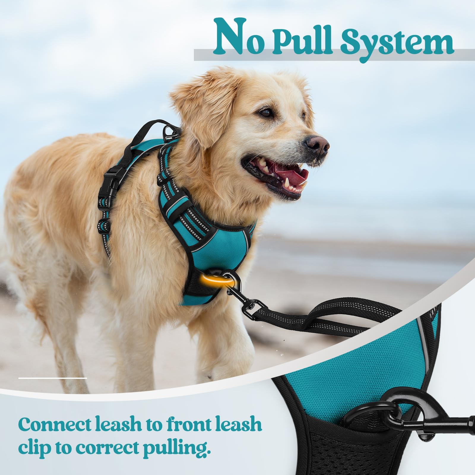 Rabbitgoo breathable air mesh keeps dogs cool outdoors