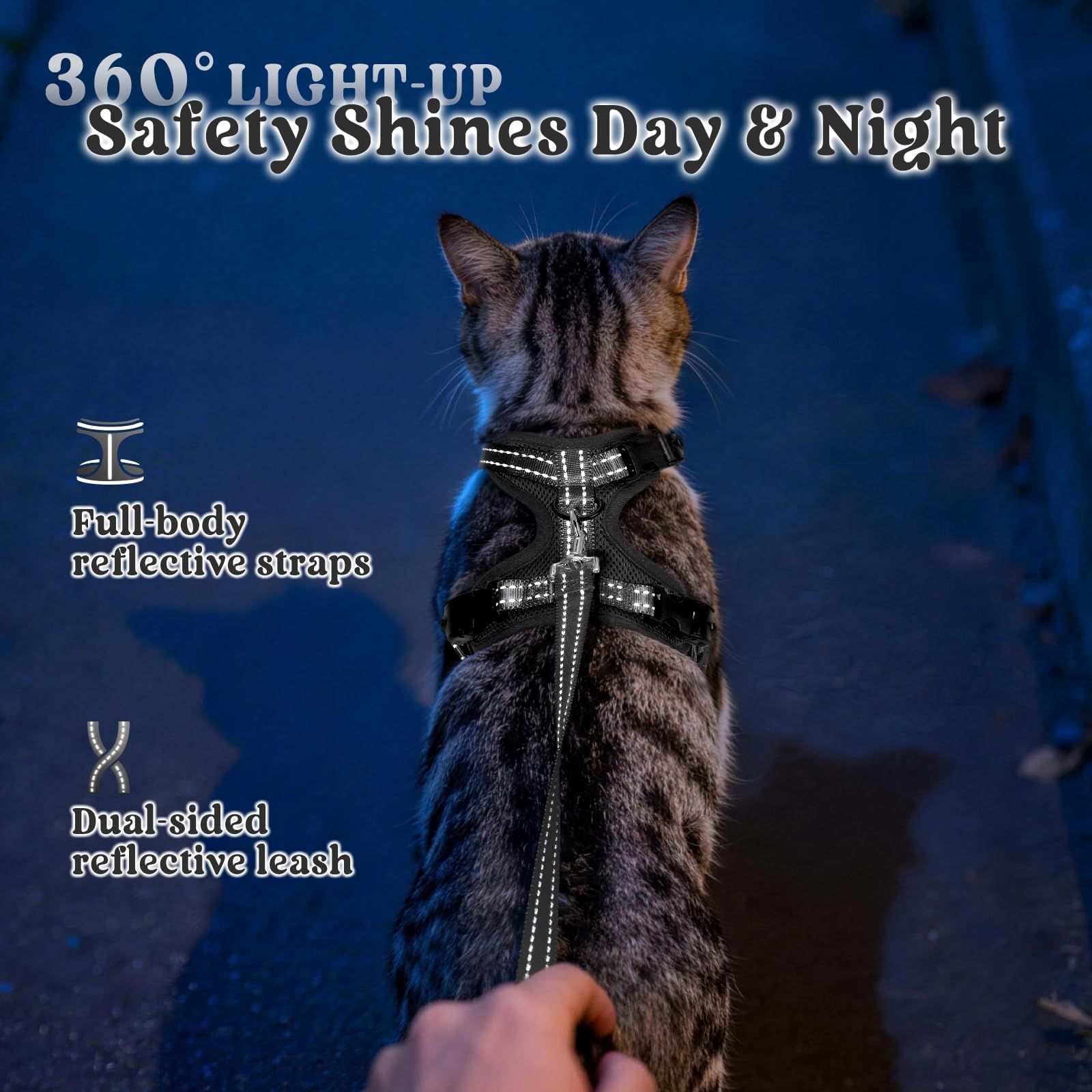 Rabbitgoo breathable air mesh keeps cats cool on walks.
