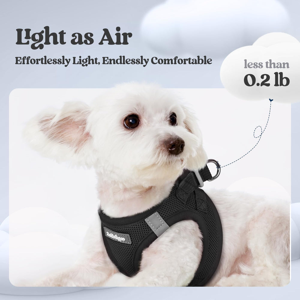 Rabbitgoo breathable mesh harness keeps dogs cool during walks.