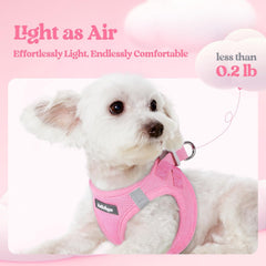 Rabbitgoo breathable mesh keeps your dog cool on warm strolls with comfort