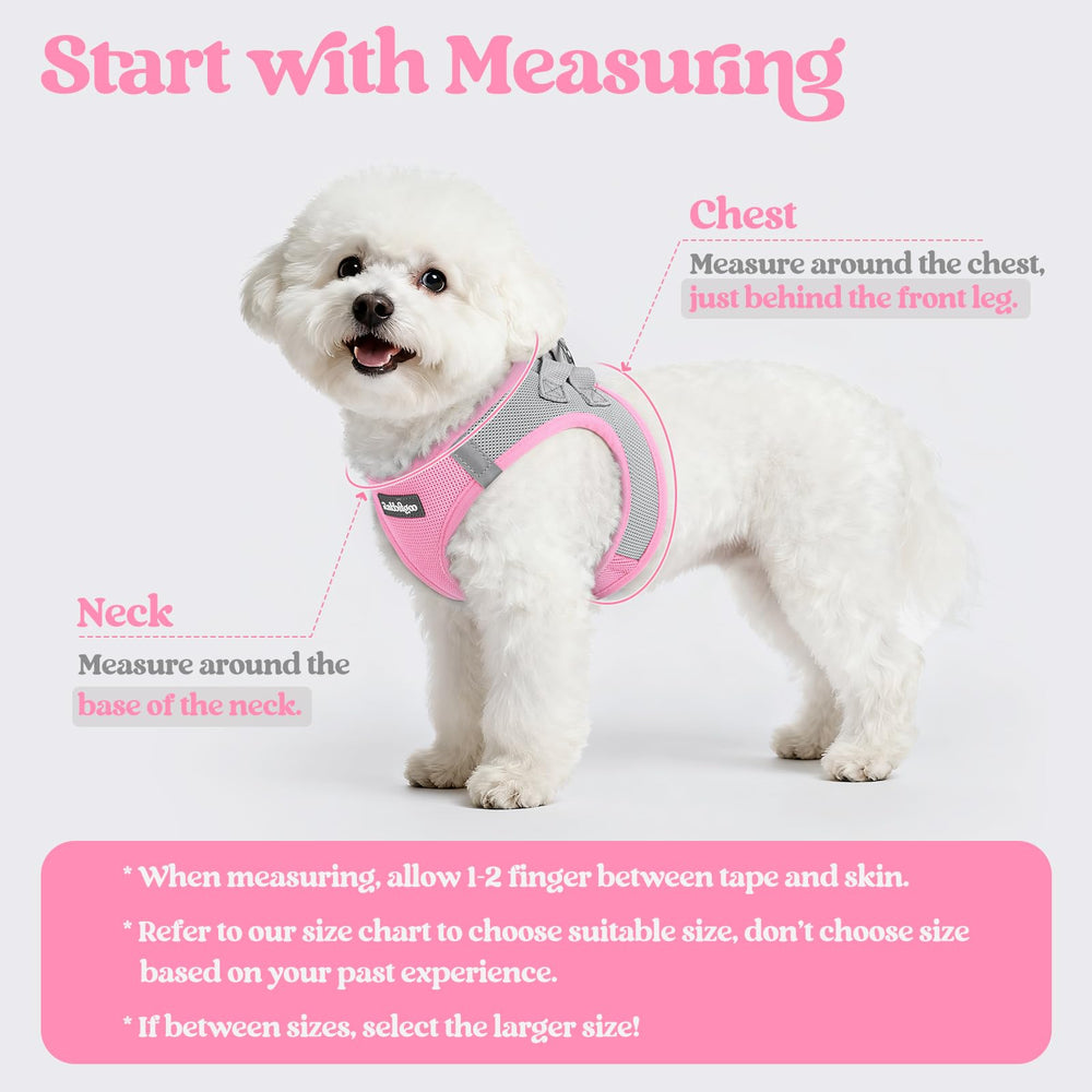 Rabbitgoo breathable mesh harness on a small dog for cool walks.