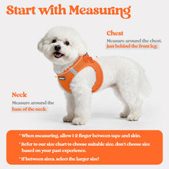 Rabbitgoo breathable mesh harness orange S keeps small dogs cool