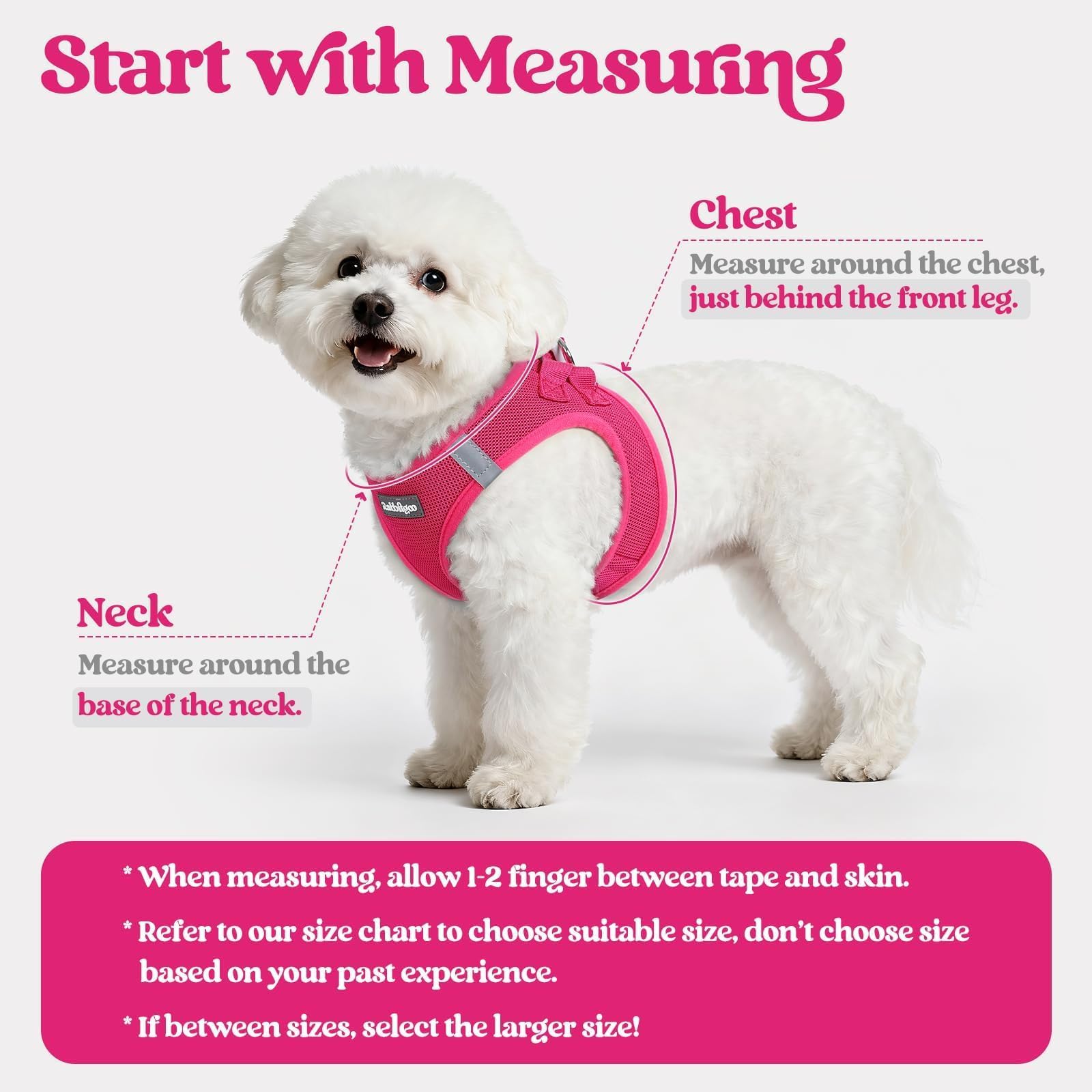 Rabbitgoo breathable mesh harness keeps small dogs cool on walks