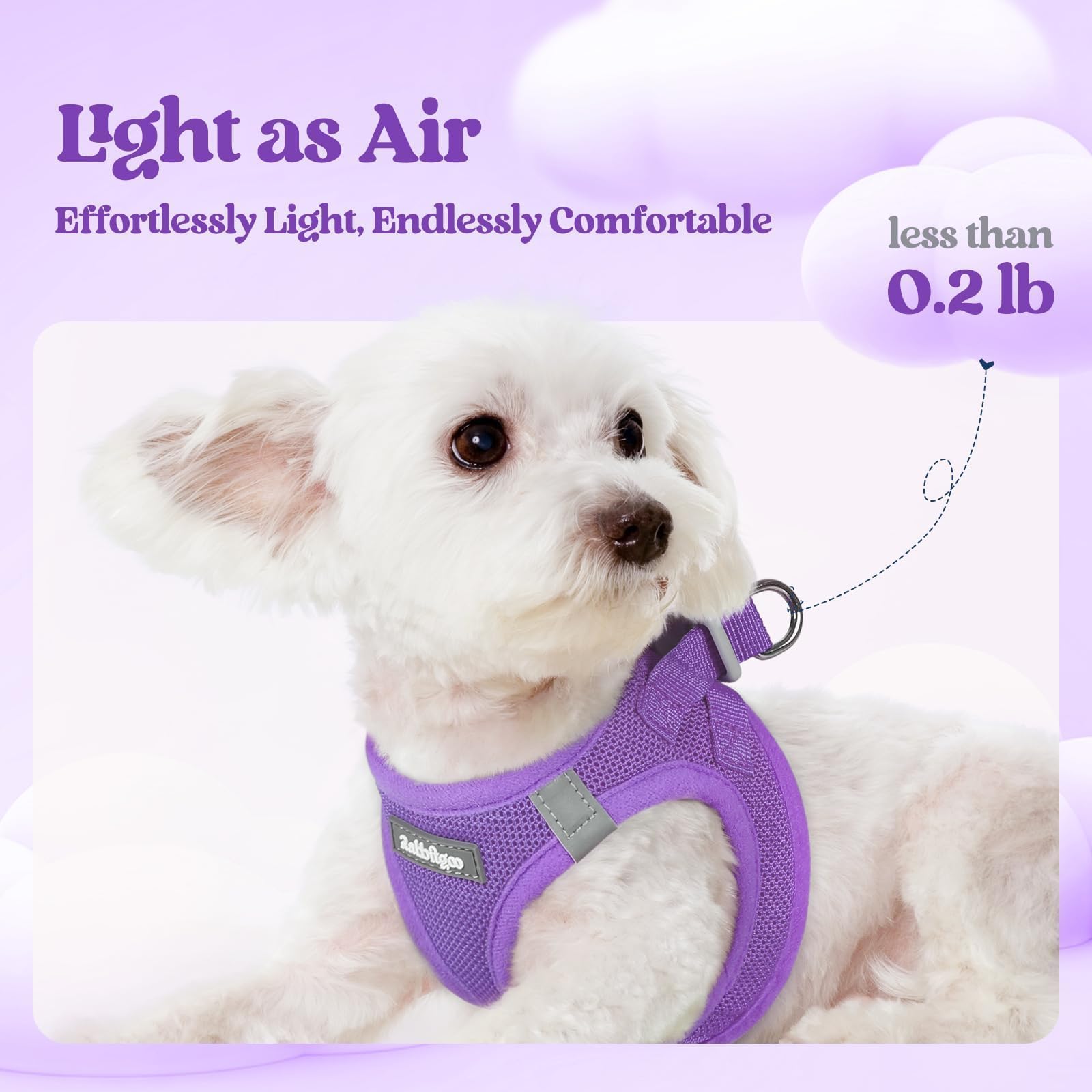 Rabbitgoo breathable mesh harness keeps small dogs cool outdoors