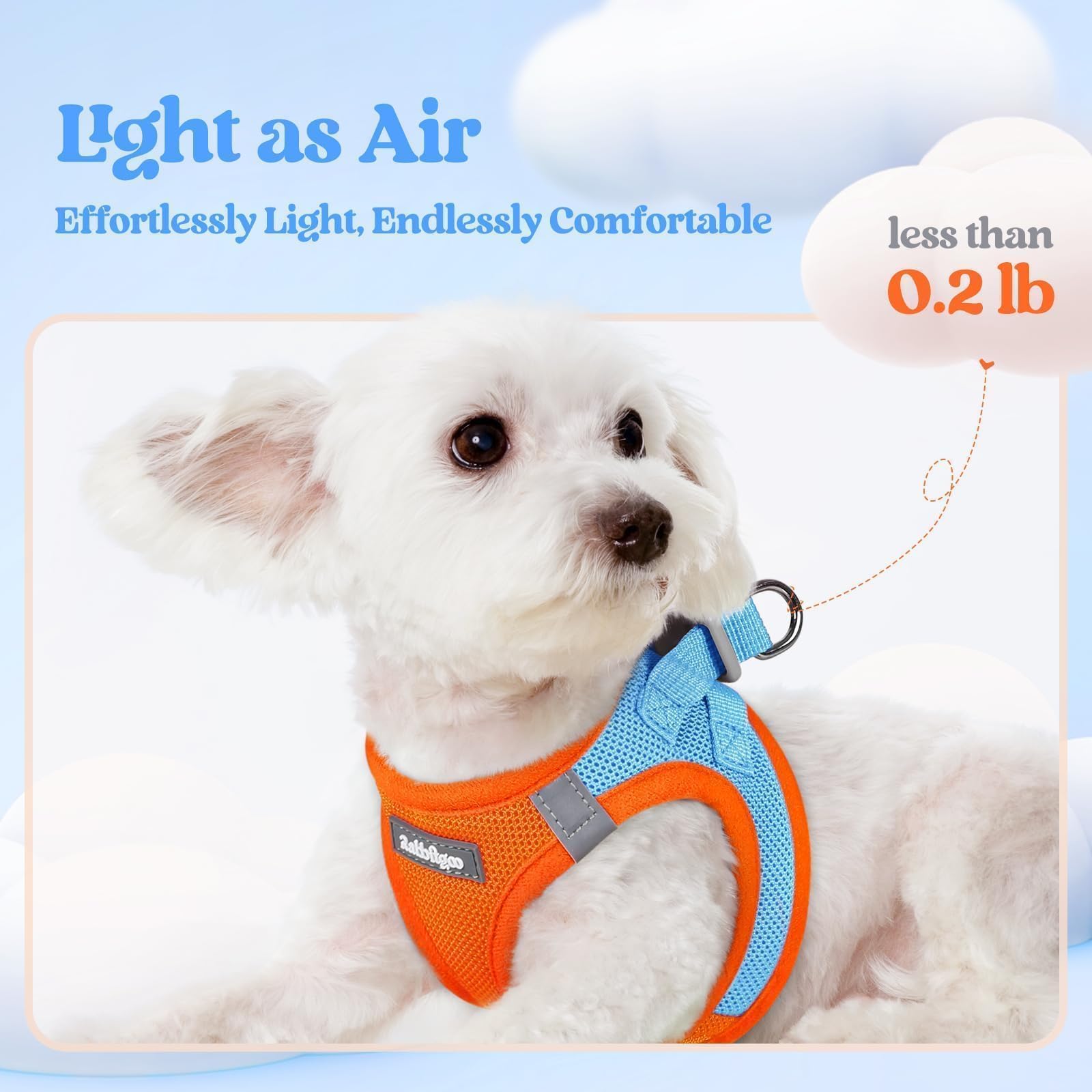 Breathable mesh harness keeps small dogs cool on walks.