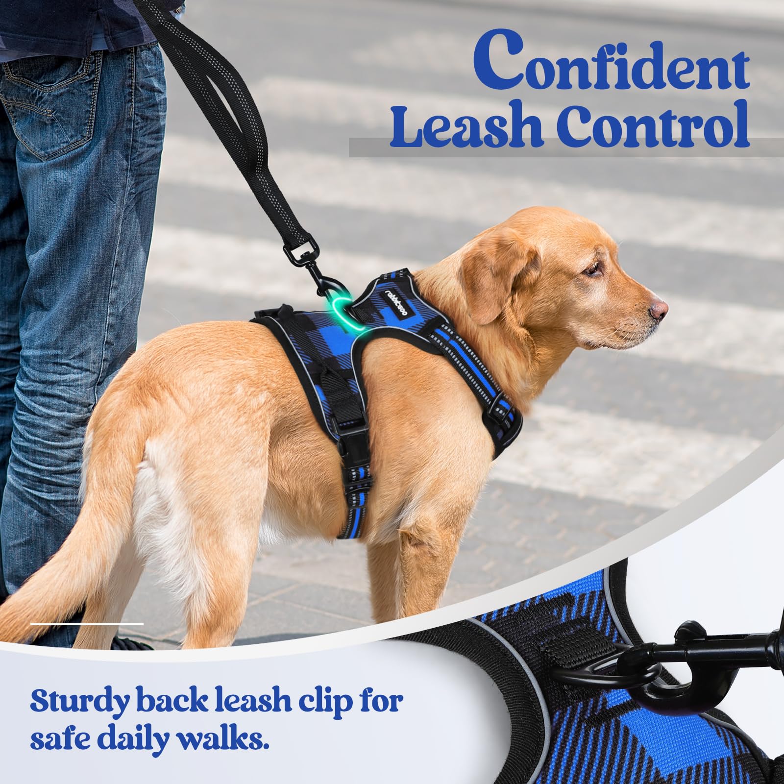 Rabbitgoo breathable padding keeps dogs cool on outdoor adventures