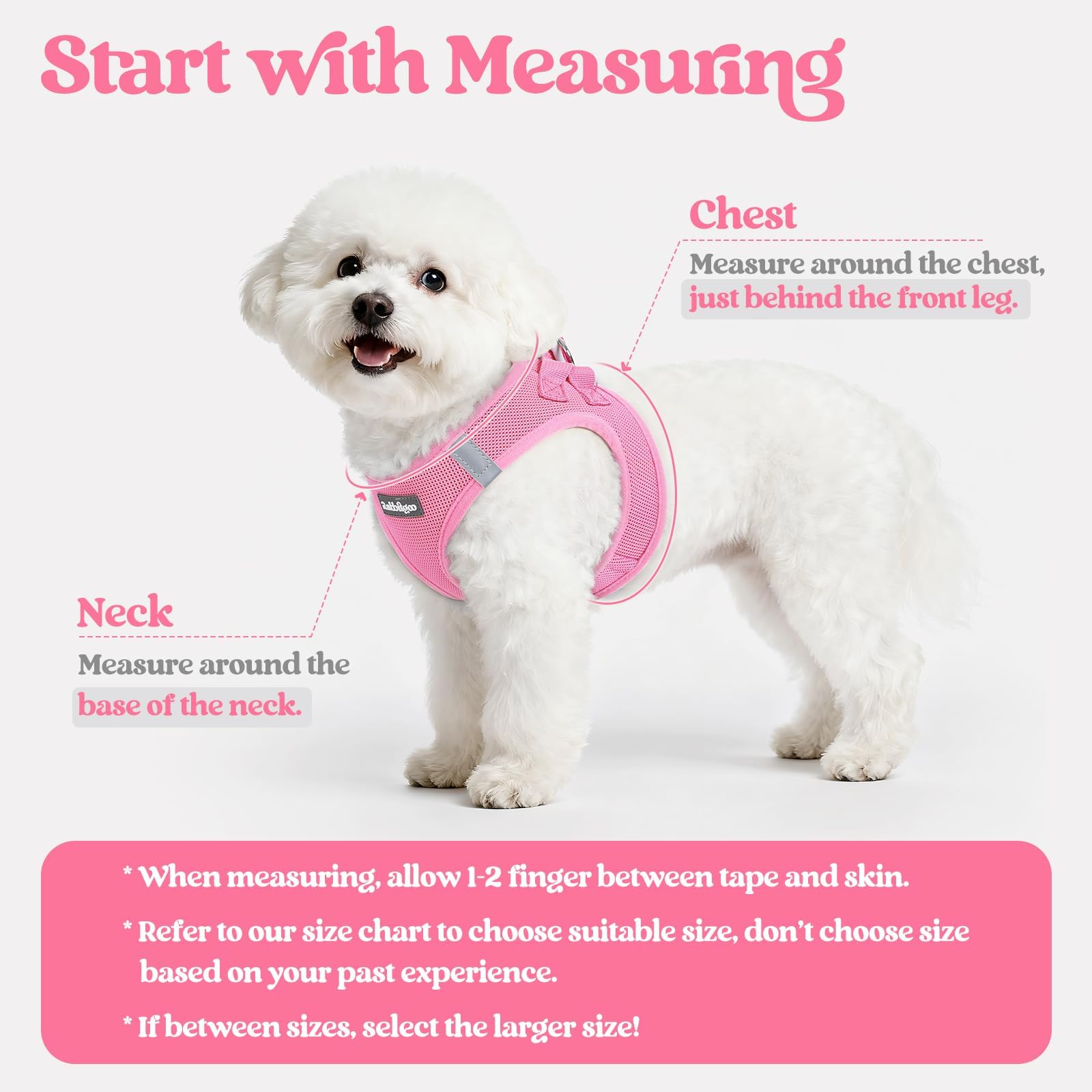 Rabbitgoo breathable mesh puppy vest keeps tiny dogs cool during outdoor strolls.