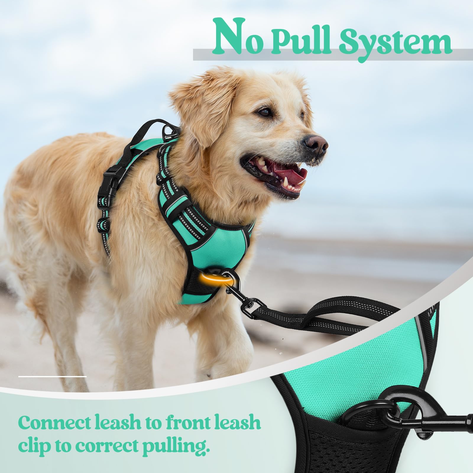 Rabbitgoo breathable mesh with reflective strips for night safety in turquoise.