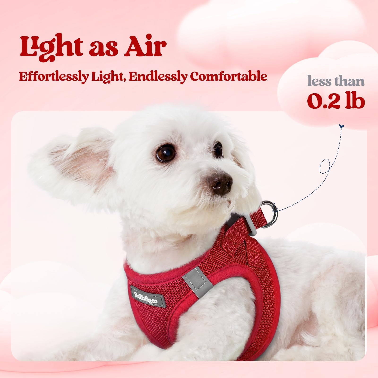 Rabbitgoo breathable mesh dog harness keeps your pet cool on outings.