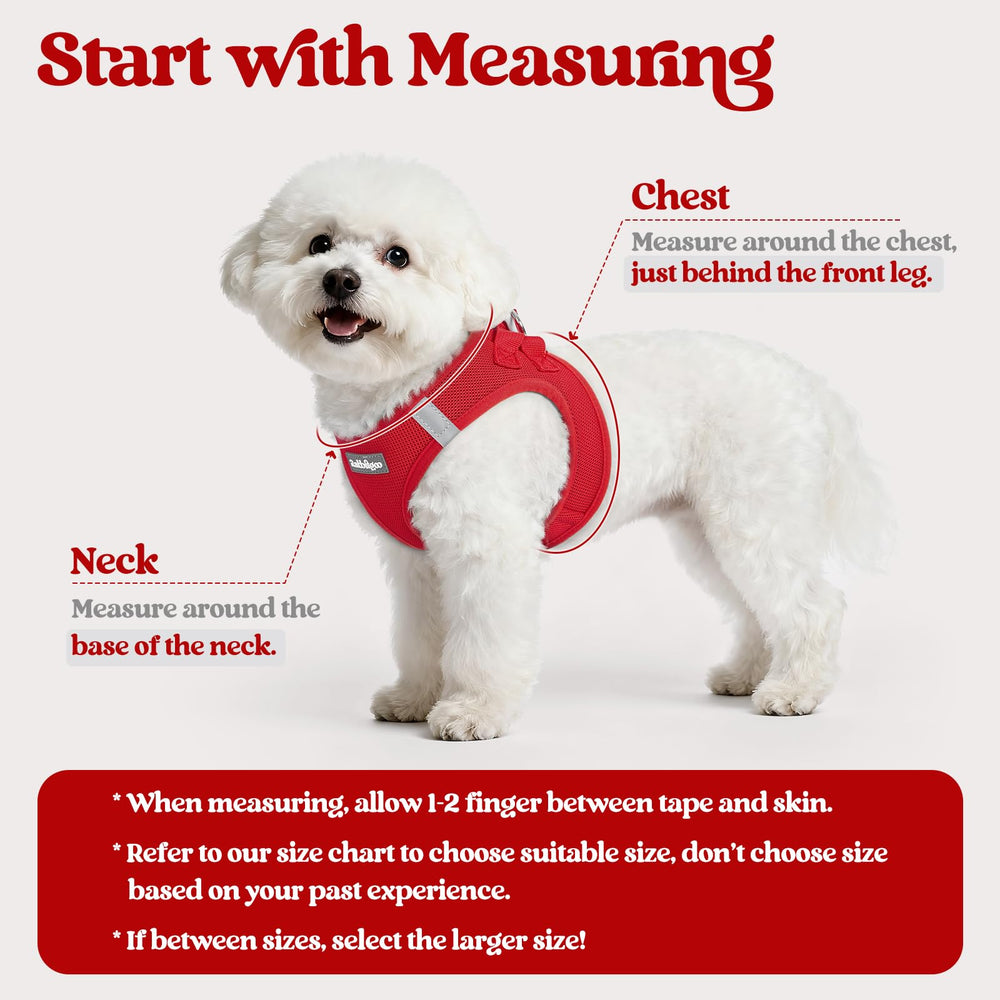 Rabbitgoo Breathable Mesh Harness Small keeps your dog cool on outings.