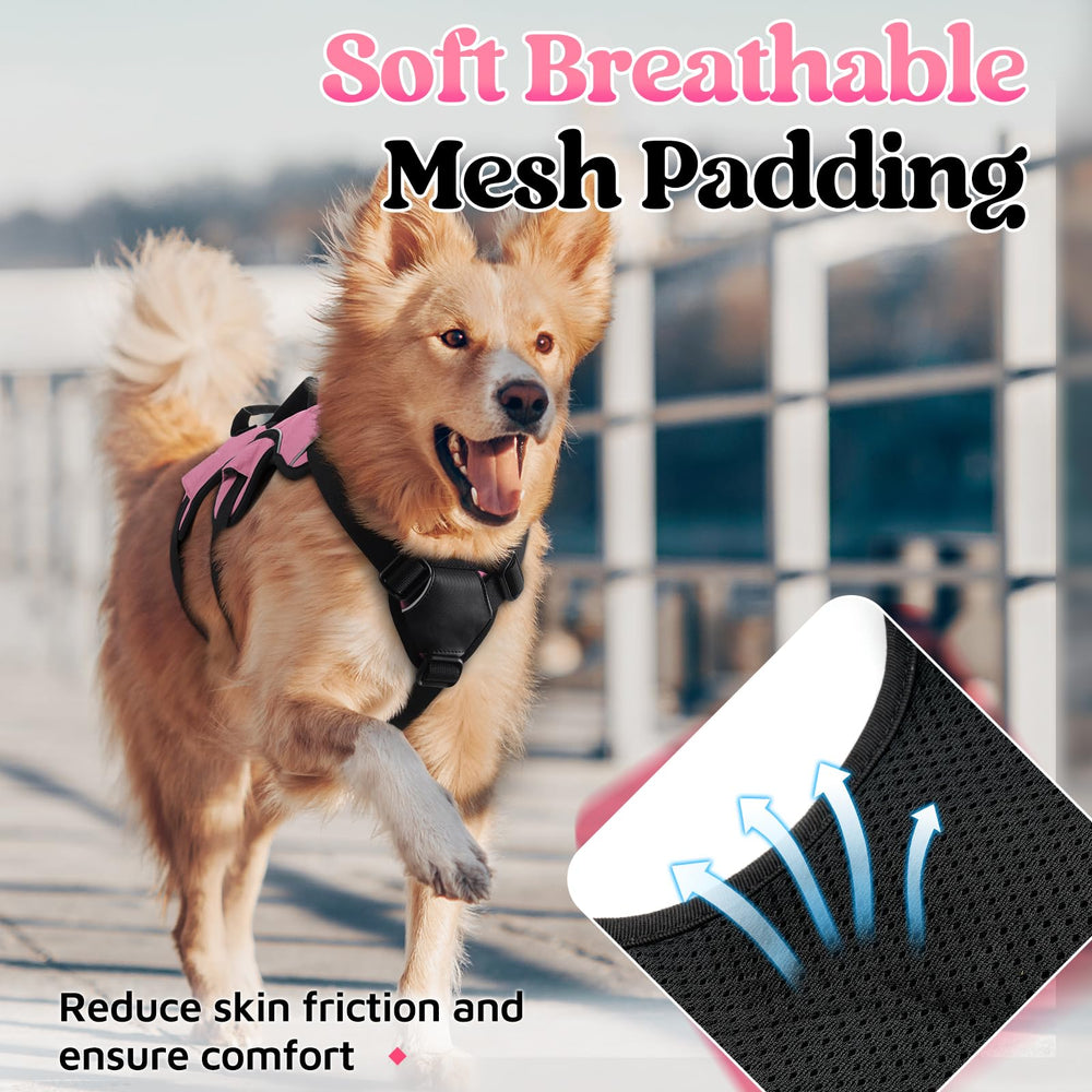 Rabbitgoo breathable padded air mesh keeps dogs cool
