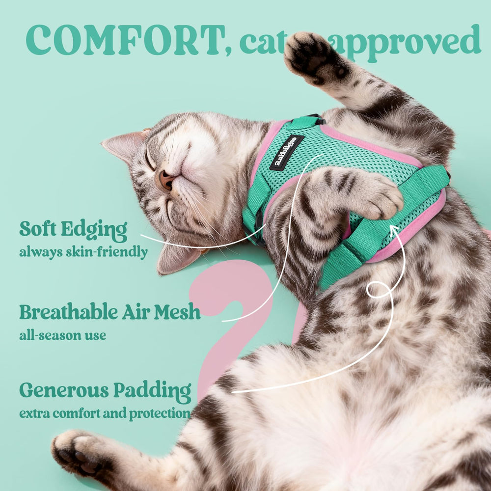 Rabbitgoo cat harness with 360-degree swivel leash to prevent tangling.