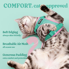 Rabbitgoo cat harness with 360-degree swivel leash to prevent tangling.