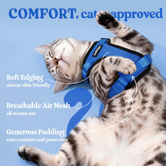Four adjustable straps provide a snug, customizable fit