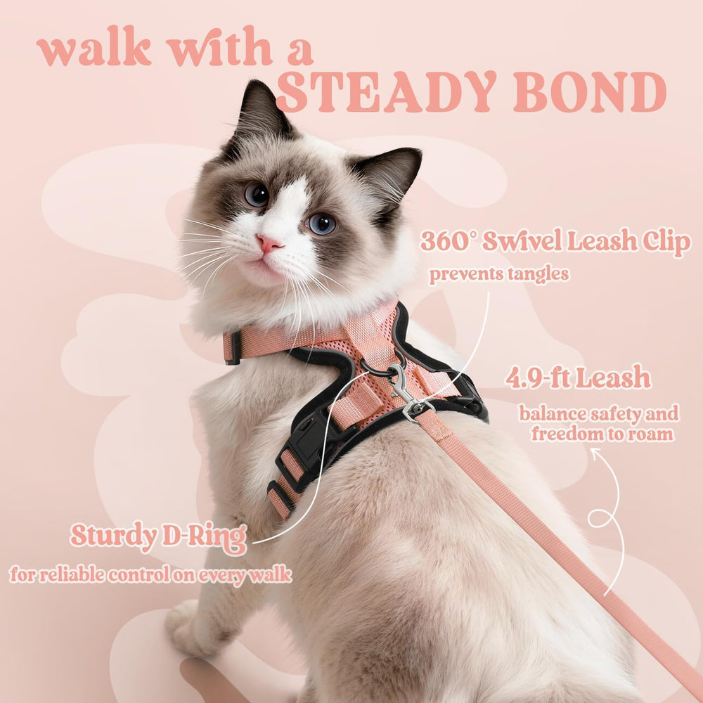Rabbitgoo cat harness with four adjustable straps for a snug, customized fit.