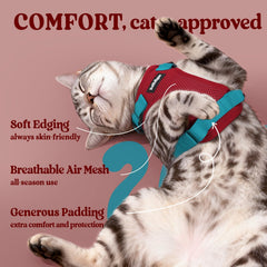 Rabbitgoo adjustable four-strap vest ensures a comfortable, snug fit.