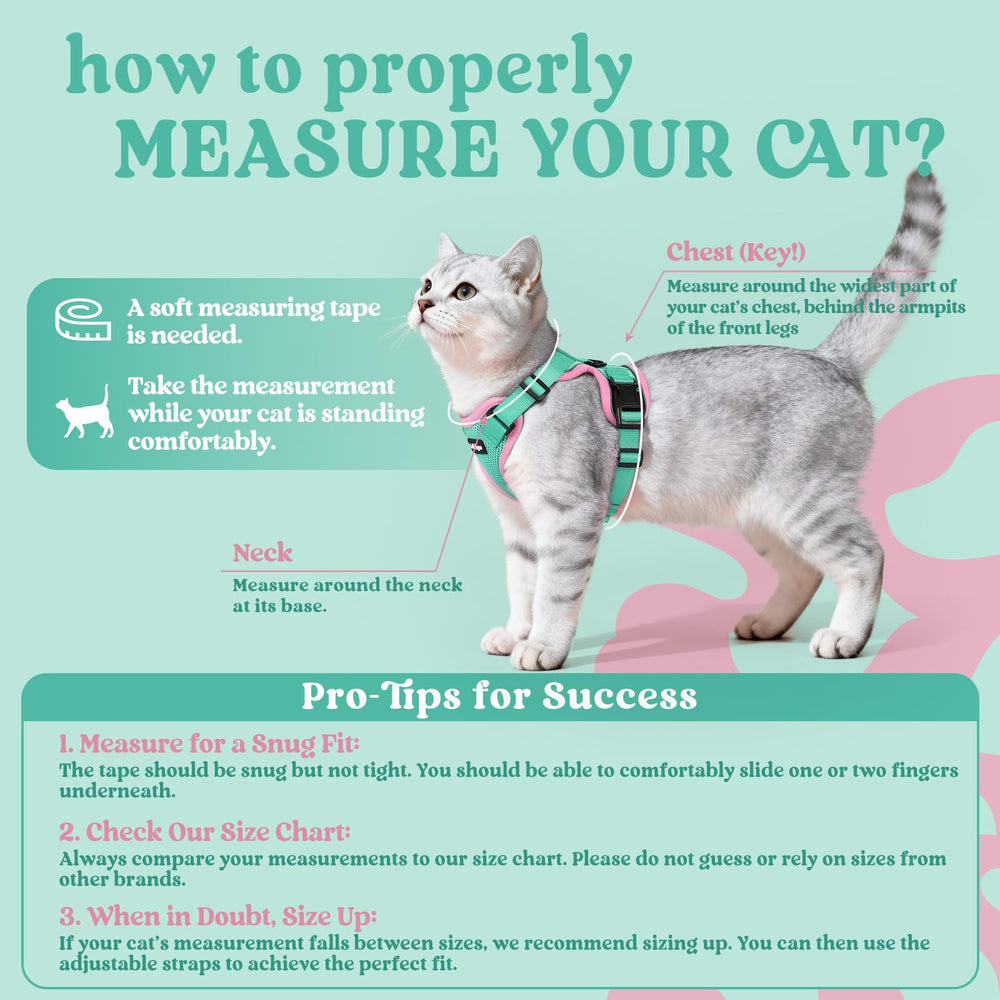 Rabbitgoo cat harness adjustable straps provide a snug, custom fit for cats.