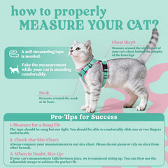 Rabbitgoo cat harness adjustable straps provide a snug, custom fit for cats.