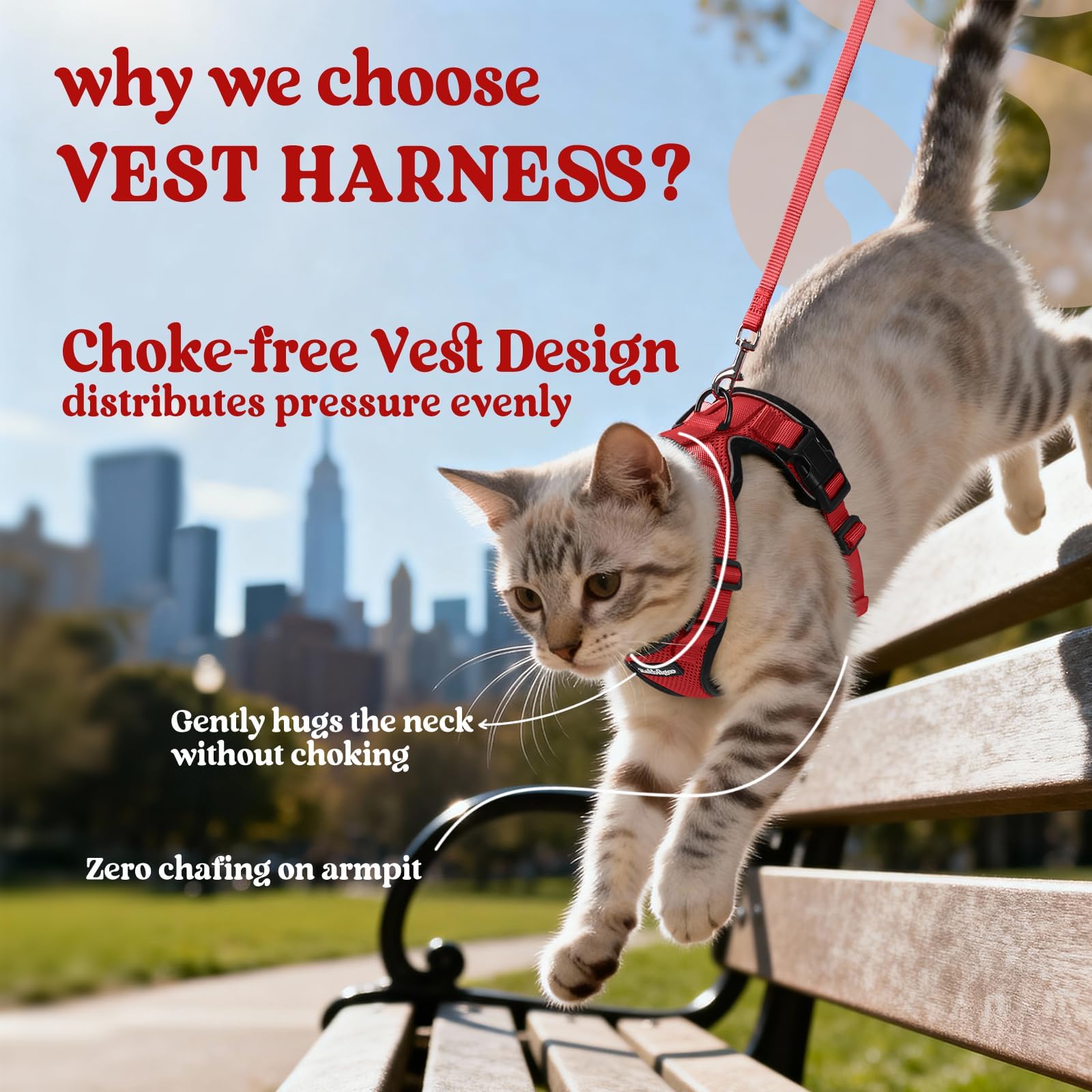 Adjustable straps on Rabbitgoo harness allow a snug, comfy fit.