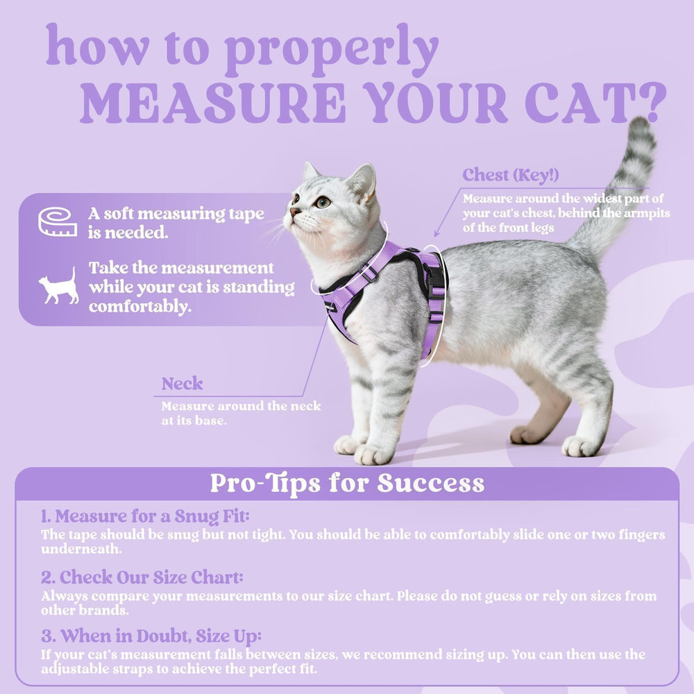 Rabbitgoo air mesh breathable harness for cat comfort