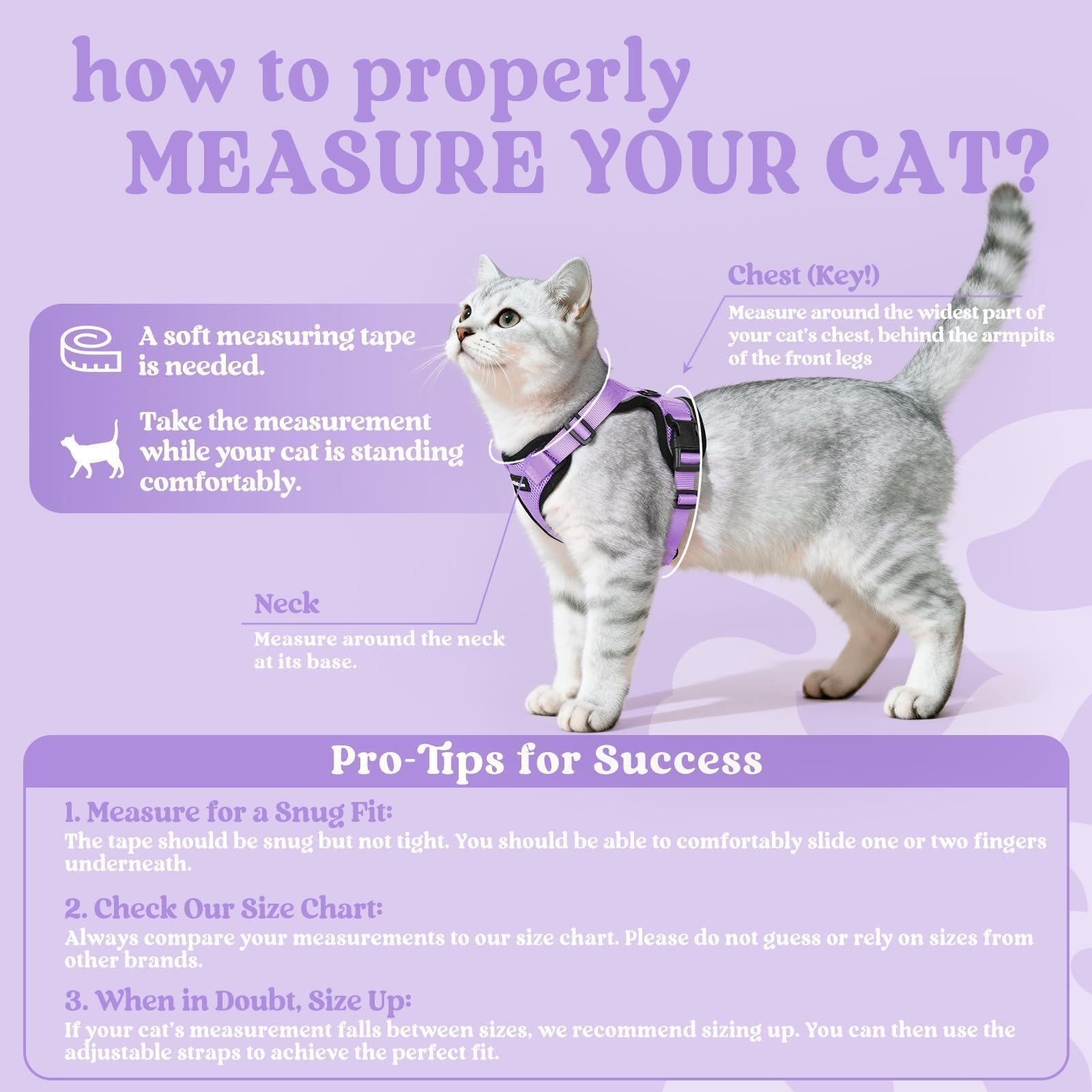 Rabbitgoo breathable air-mesh keeps your cat cool on walks.
