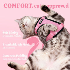 Rabbitgoo air-mesh harness keeps your cat cool during strolls.