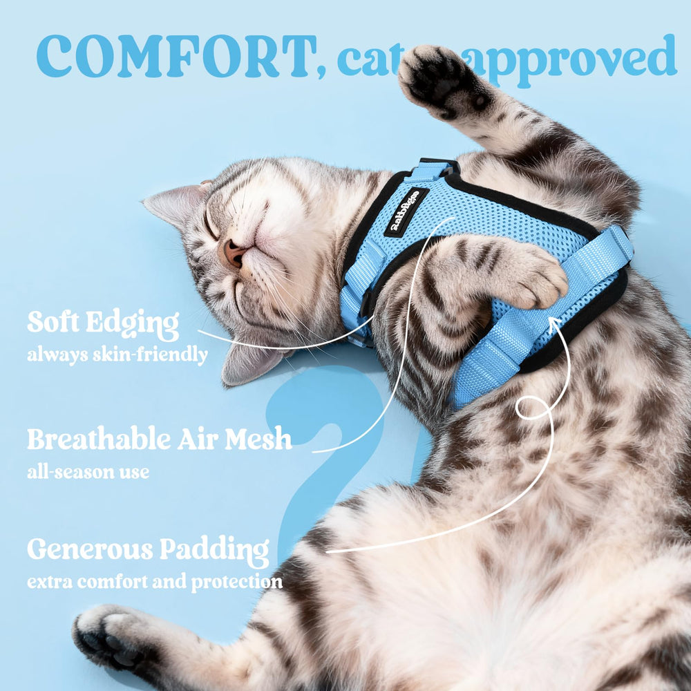 Rabbitgoo cat harness breathable air-mesh keeps your cat cool on sunny walks.