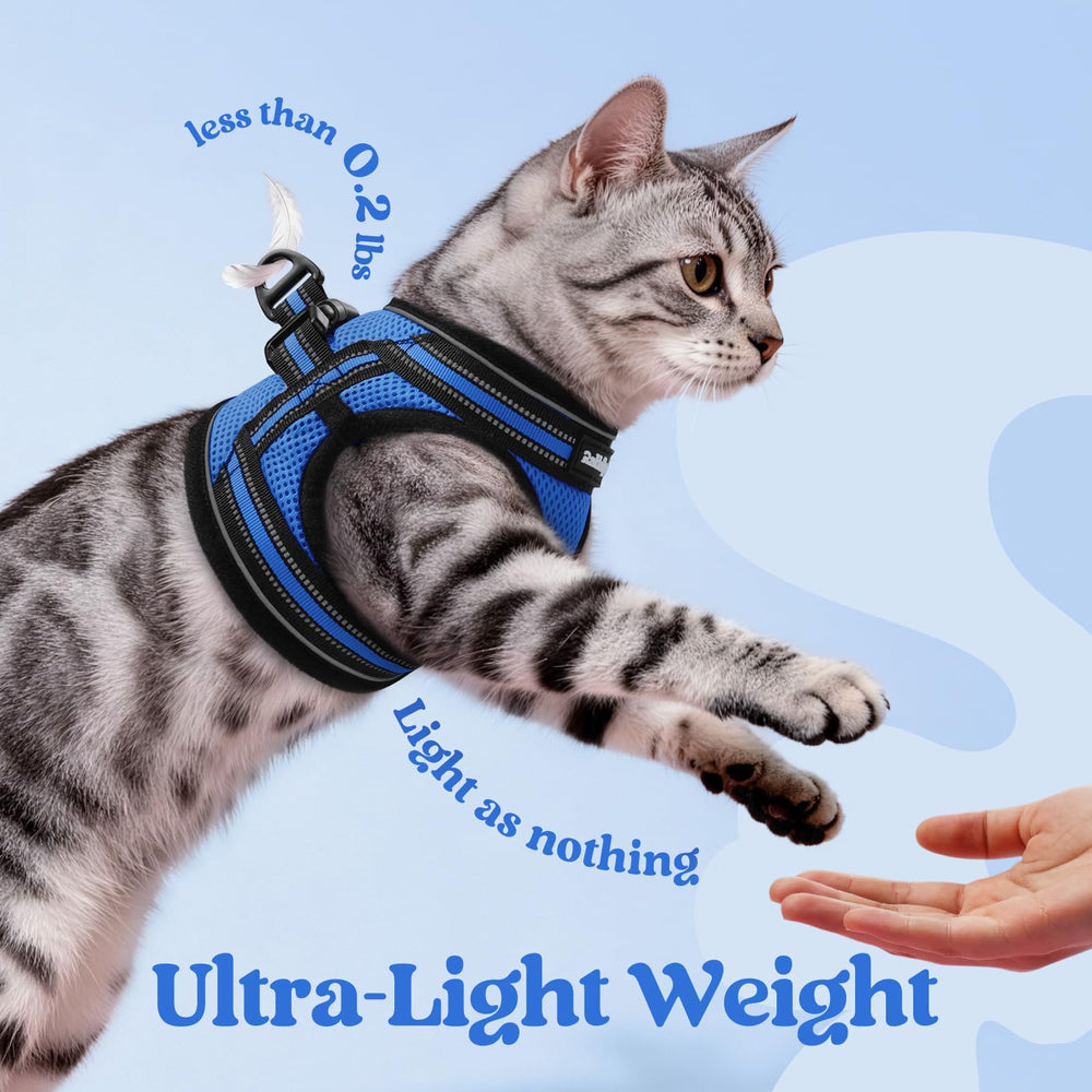 Rabbitgoo vest-back clip buckle supports escape-proof leash use