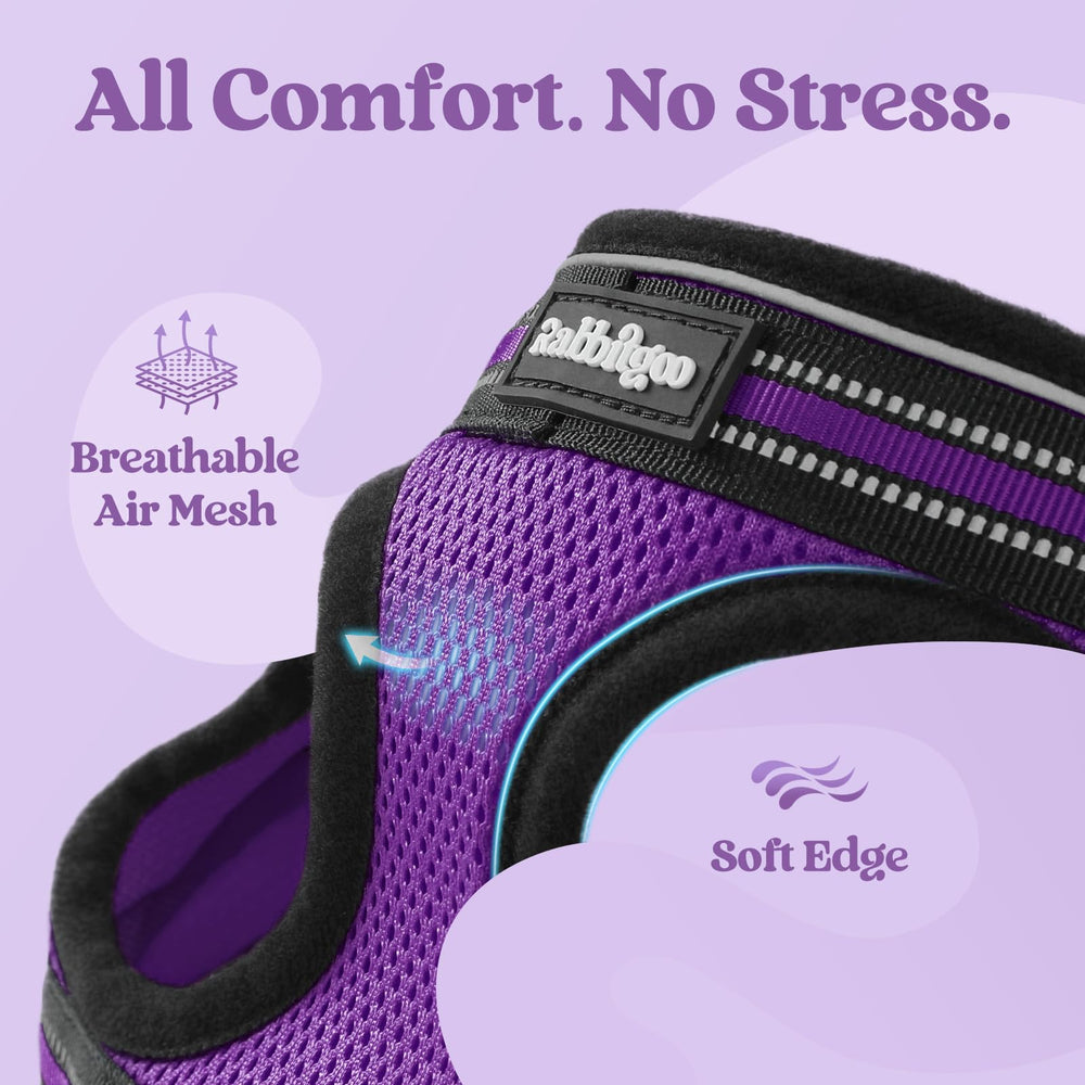 Rabbitgoo leash and harness set ideal for training and travel.