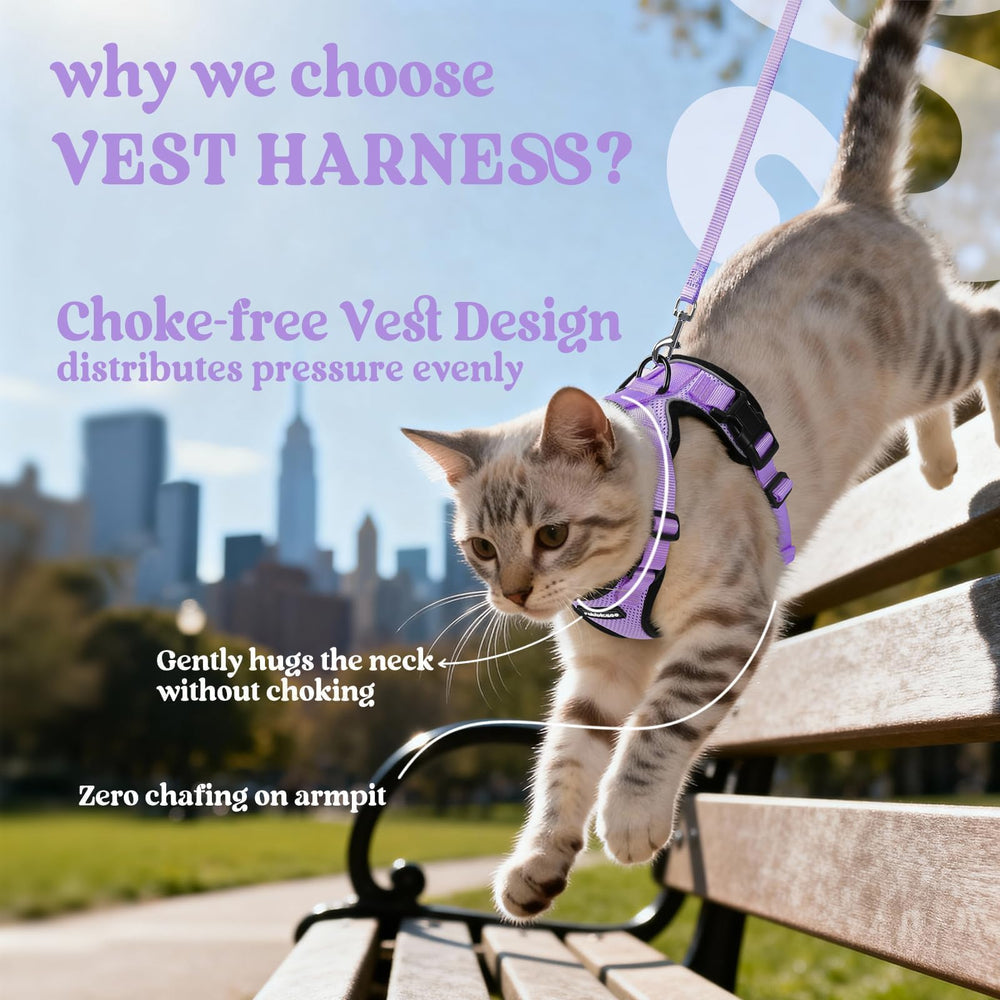 Rabbitgoo harness back D-ring for reliable leash control