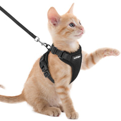 Rabbitgoo cat harness back D-ring for secure outdoor control during walks.