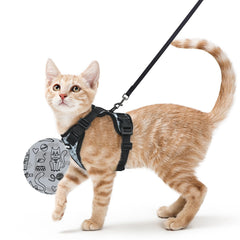 Rabbitgoo cat harness with back D-ring for secure leash control during walks.