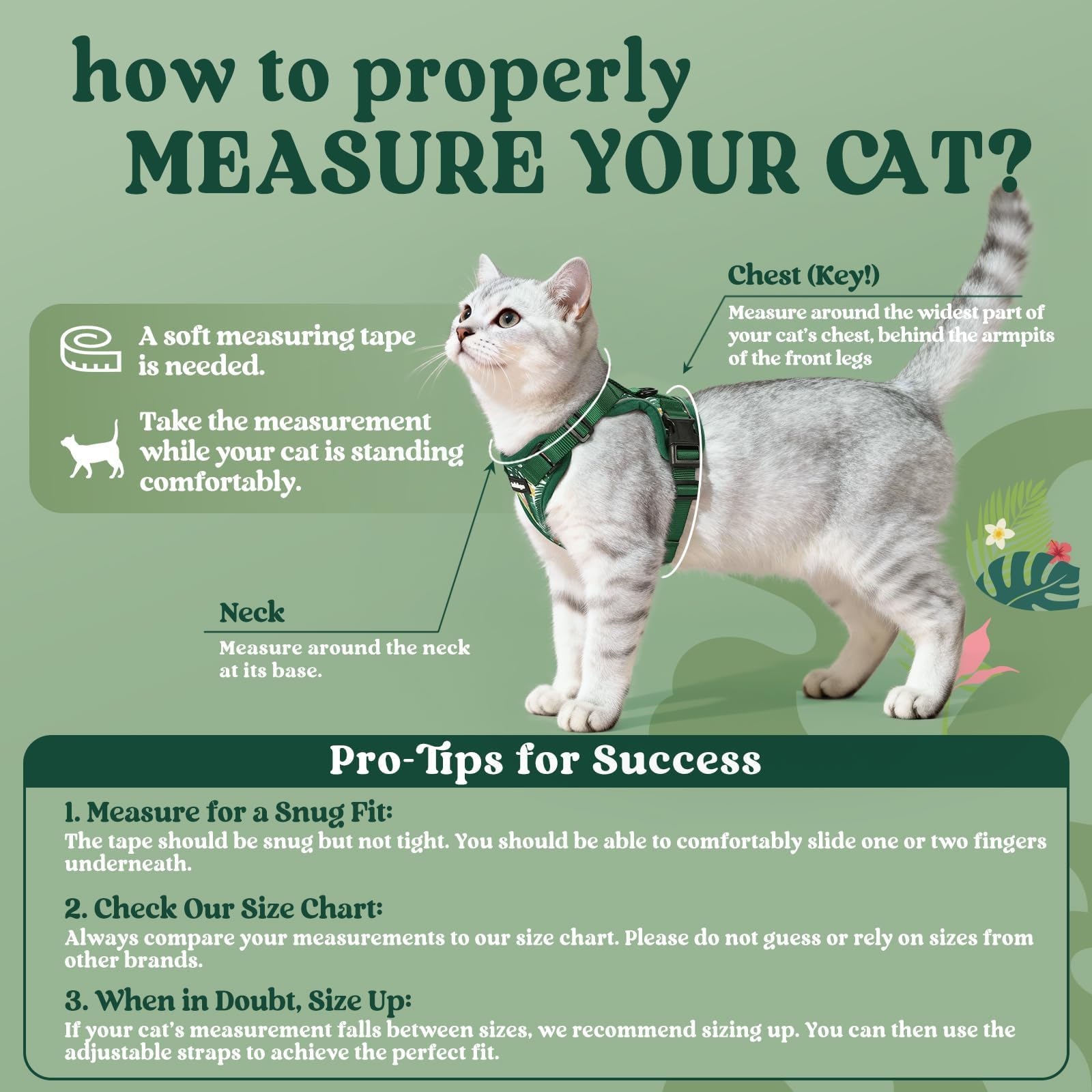 Rabbitgoo cat harness back D-ring leash clip provides secure control