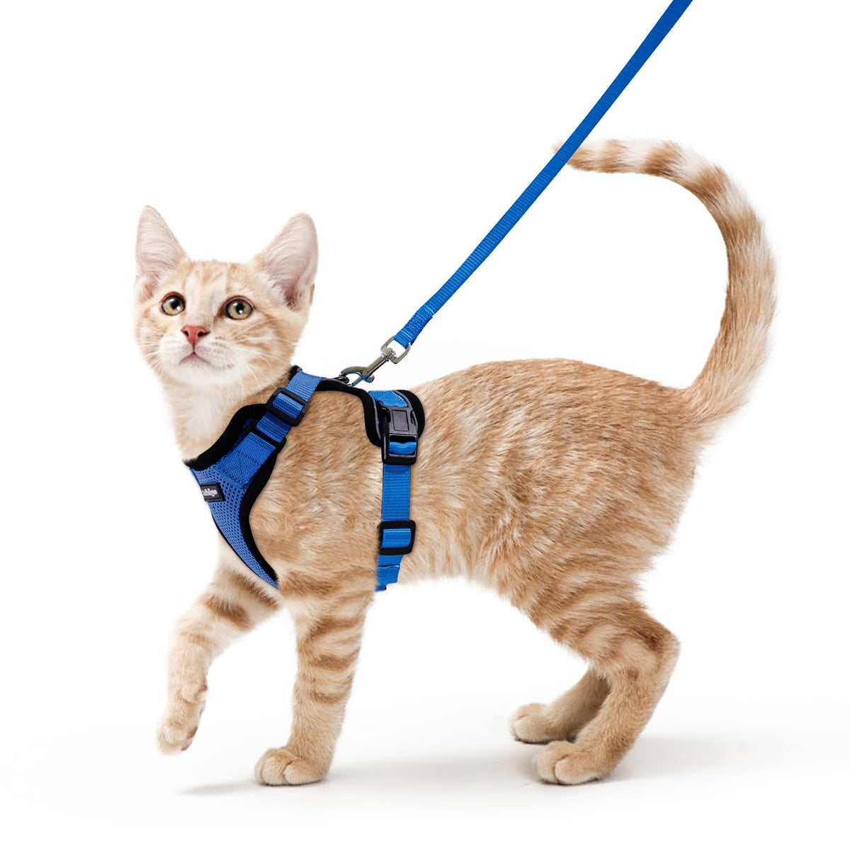Rabbitgoo cat harness back D-ring for secure leash attachment
