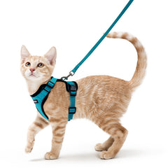Rabbitgoo cat harness with back D-ring for secure outdoor control.