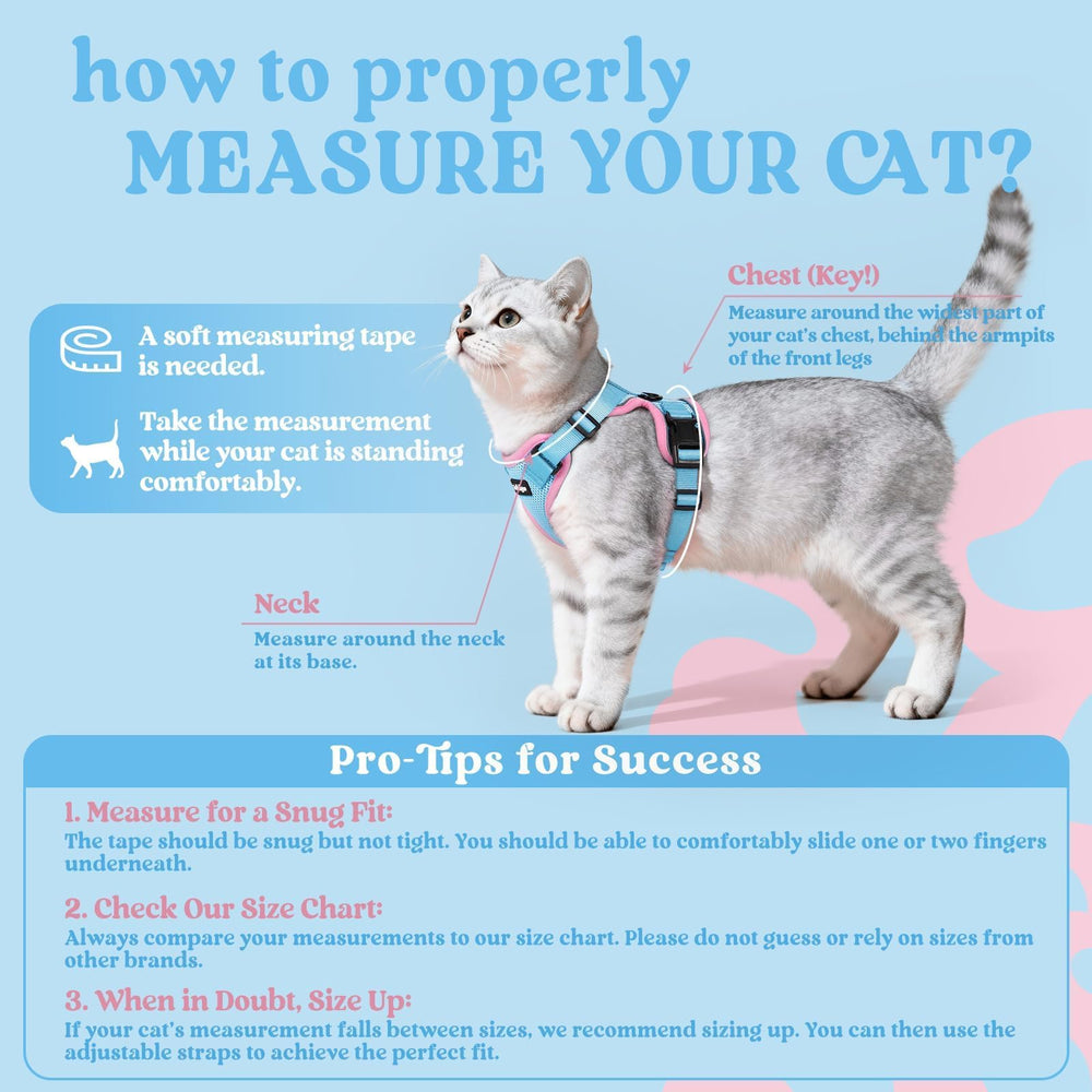 Rabbitgoo cat harness back D-ring provides reliable control during walks.