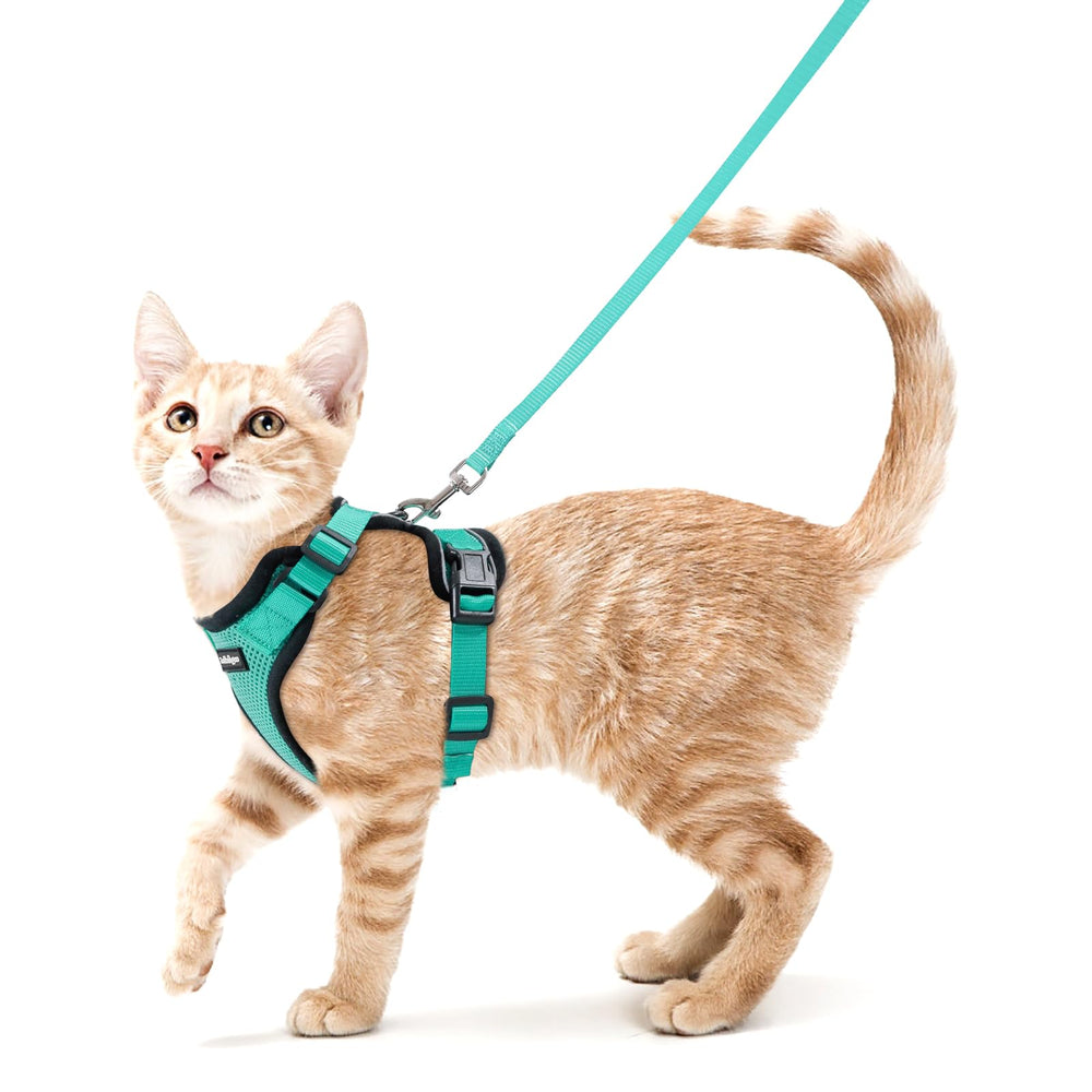 Rabbitgoo cat harness back D-ring for secure outdoor walking