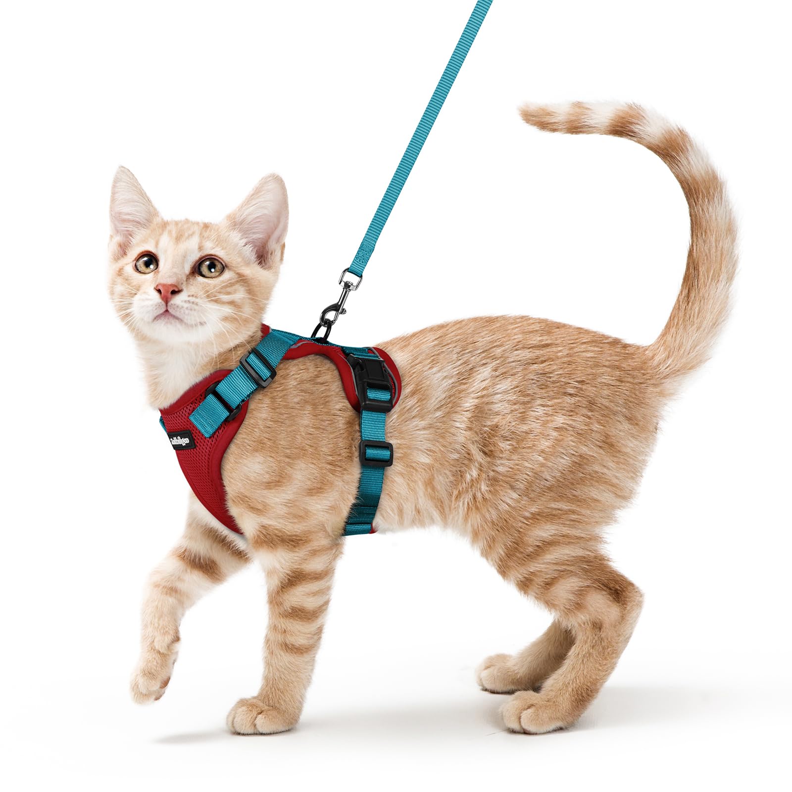 Rabbitgoo cat harness with back D-ring for secure leash control during outdoor walks.