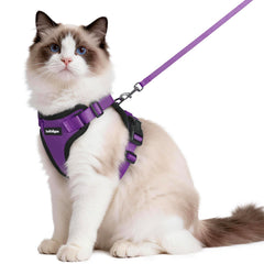 Rabbitgoo cat harness back D-ring for secure outdoor control.