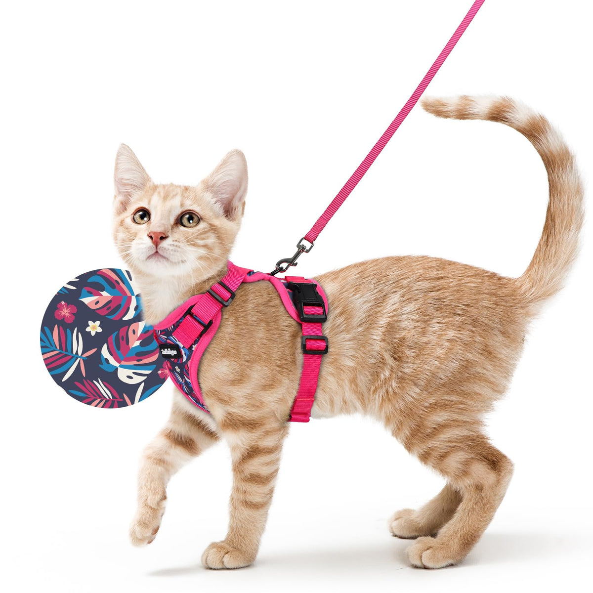 Rabbitgoo cat harness back D-ring provides steady leash control for safe outdoor strolls.